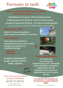 flyer sportydev